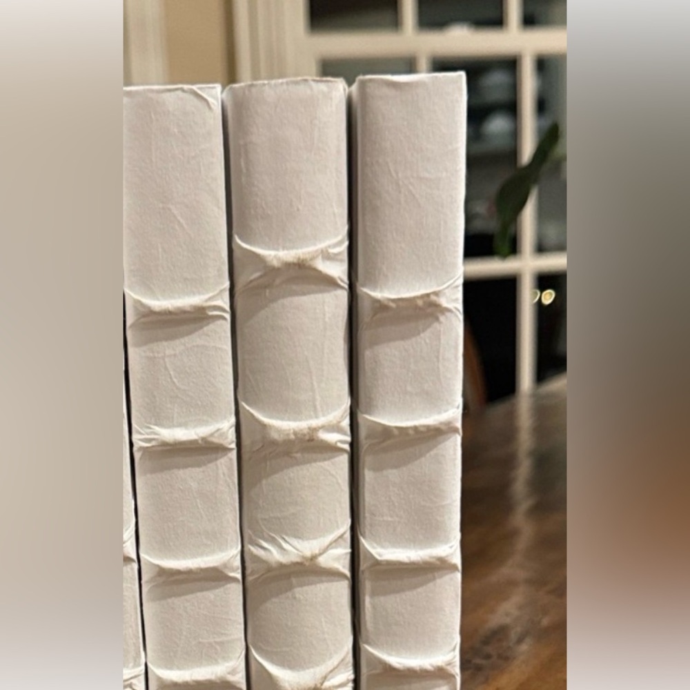 Set of White Decorative Books